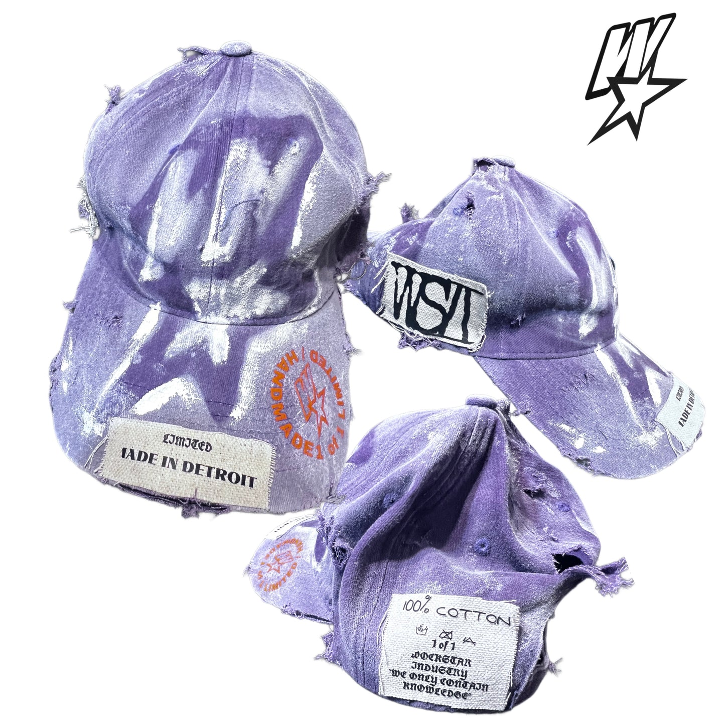 WSI - DAD HAT